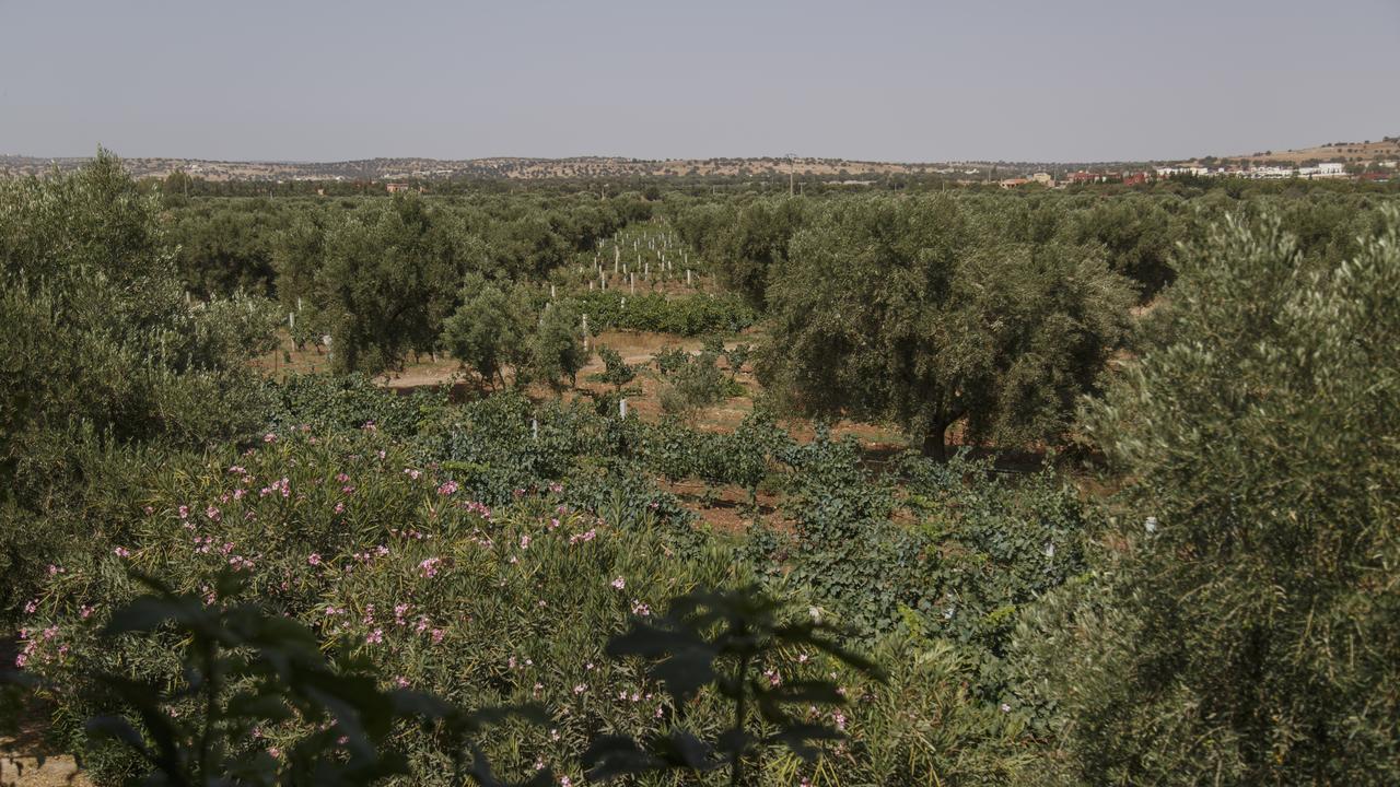 Ryad De Vignes " Le Val D'Argan " Ounara Exterior photo